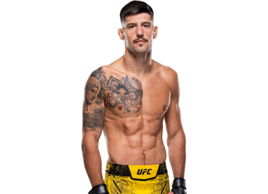 Fighter 1